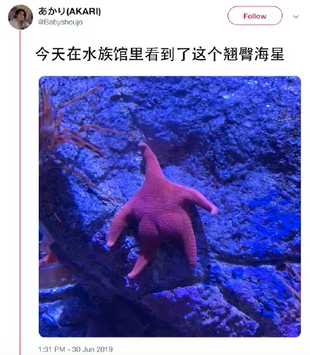 派大星是你吗 派大星怎么火了?