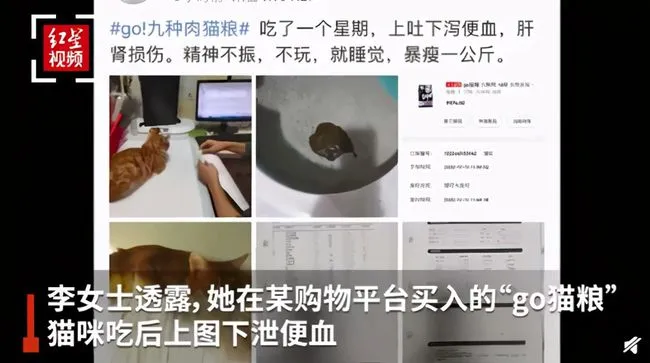 go猫粮被曝猫吃后中毒甚至死亡什么