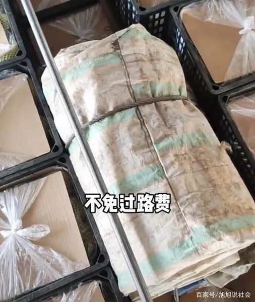 一车苹果因篷布不免过路费什么情况