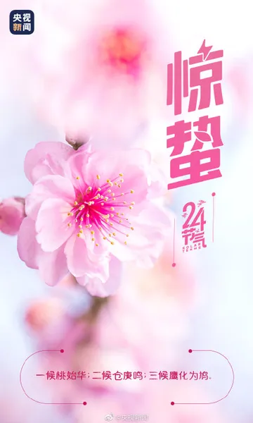 惊蛰当天吃什么?2022惊蛰养生食谱