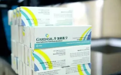 image.webp image.webp