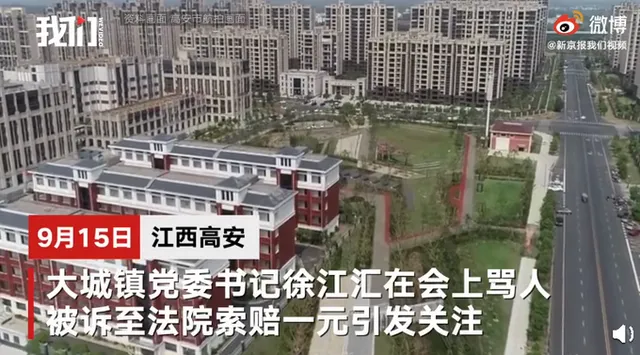 镇党委书记开会骂人被诉索赔1元什