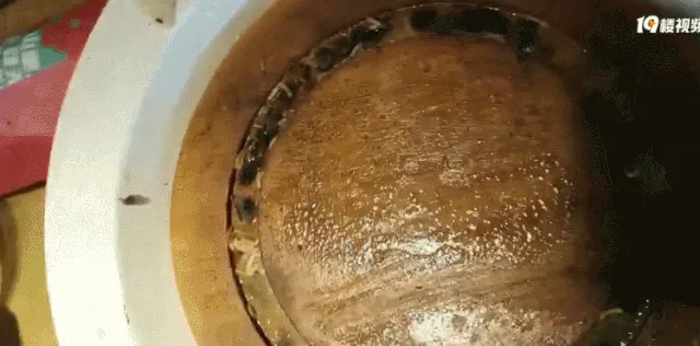 浙江牛排连锁餐厅吃出活蛆怎么回事