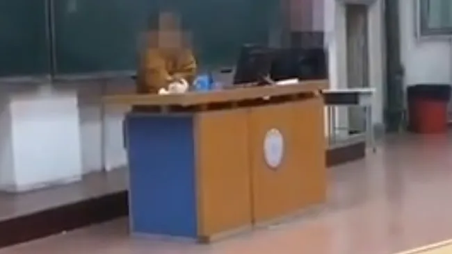 长春大学回应学生会成员爆粗口怎么