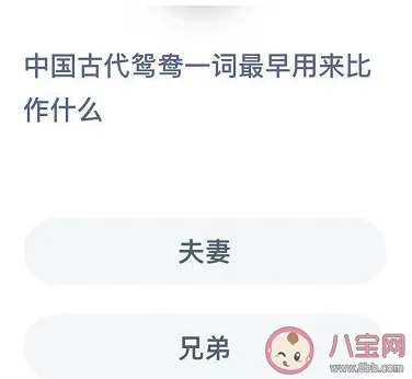 蚂蚁庄园12月4日今日答案大全 在古