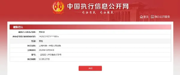 贾跃亭再成被执行人 贾跃亭再被执