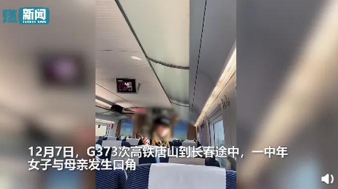 女子高铁辱骂母亲后弃母下车怎么回