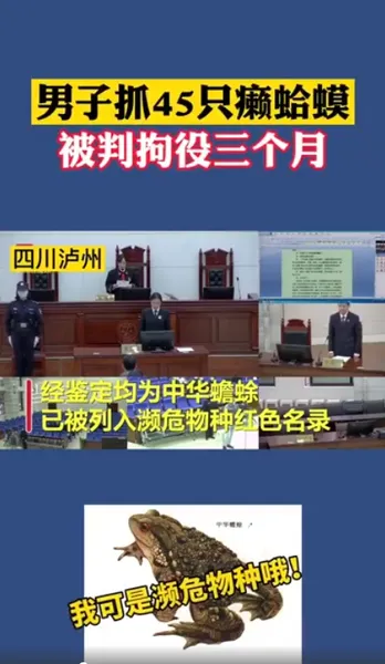 男子抓45只癞蛤蟆被判拘役三个月什