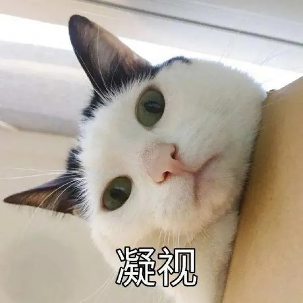 猫猫能有什么坏心眼呢是什么梗？猫猫能有什么坏心眼呢表情包