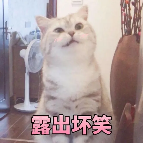 猫猫能有什么坏心眼呢？猫猫能有什么