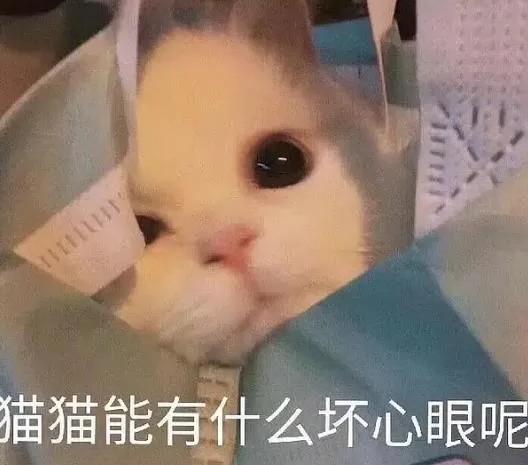 猫猫能有什么坏心眼呢是什么梗？猫猫能有什么坏心眼呢表情包