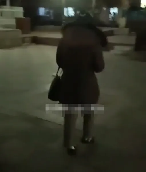 大连卢书记是谁发生了什么?大连女子进小区不登记打电话给卢书记