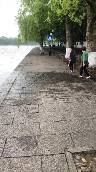 百万元豪车深夜冲进西湖什么情况?司机很郁闷车是问老板借来的