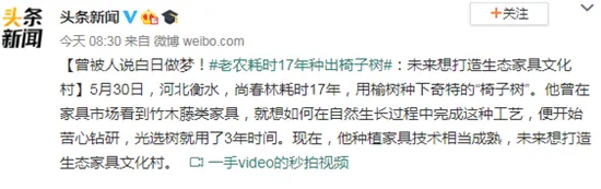 老农耗时17年种出椅子树怎么回事？老
