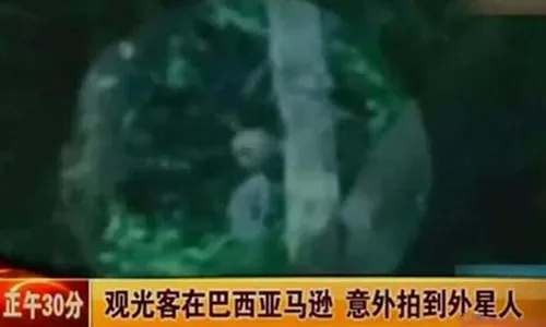 巴西亚马逊外星人事件 外星人警告2