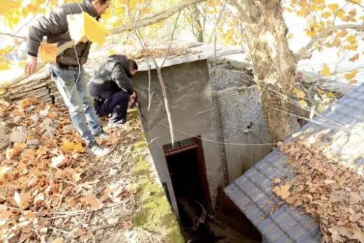 上饶一疯狂公牛连伤2人什么情况?上饶疯公牛伤人冲往学校