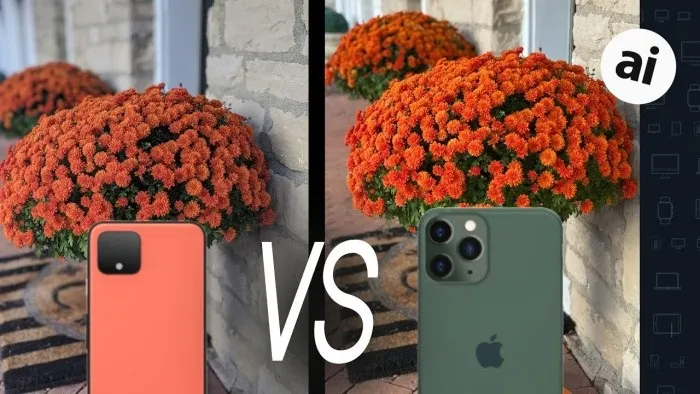 苹果iPhone11 Pro和Pixel 4相机终