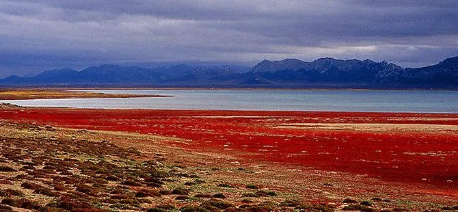 俄罗斯网红湖泊实际是一个垃圾倾倒场?俄罗斯垃圾倾倒场变为网红地怎么回事?