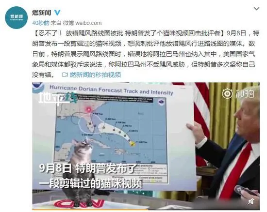 特朗普发猫咪视频讽刺媒体是什么情