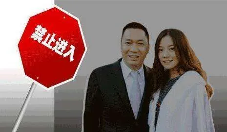赵薇败诉赔偿金额40万？赵薇共有544