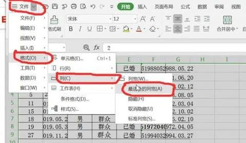 wps表格自动适应文字大小 | wps使
