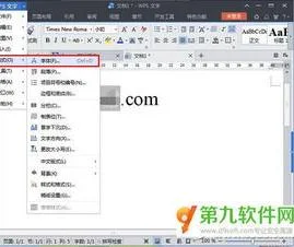 wps在文字中使用格式 | 在wps文字