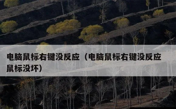 电脑鼠标右键没反应 鼠标没坏 | 电脑鼠标右键没反应