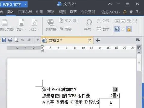 在wps里做下拉选择项 | 在wps表格