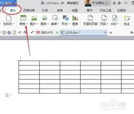wpsword画斜线 | wpsword画有斜线