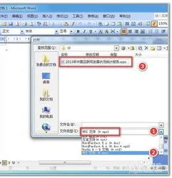 让word打开wps文件 | 用Word打开WP