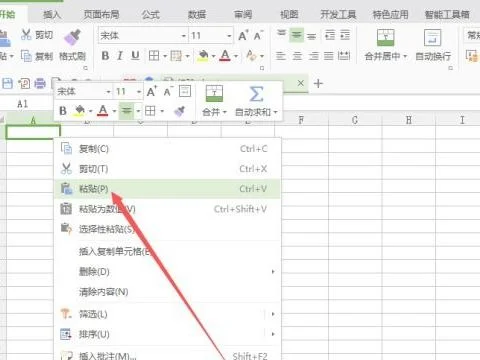 把wps段落粘贴到表格 | wps复制粘