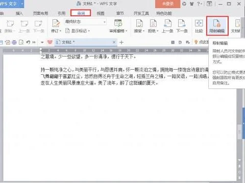 wps设置复制格式文件 | wps中复制