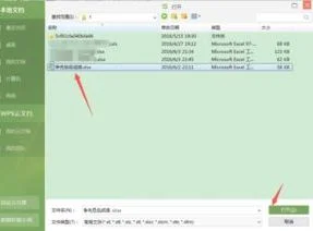 wps打开成excel | 将WPS转成EXCEL