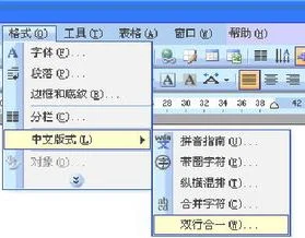 wps的文本并列显示 | 让WPS文字并