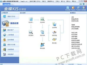 标准版,金蝶,免费,kis