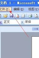 wps调a3纸 | WPSWord设置A3