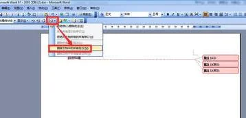 wps在右侧显示标注 | 在wps中给文