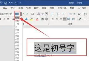 wps把字体变淡 | 在wps中让字体加