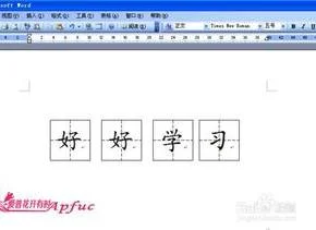 wps在田字格中输入汉字 | wps文档