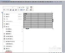 wps中表格去除边框 | wps去掉边框