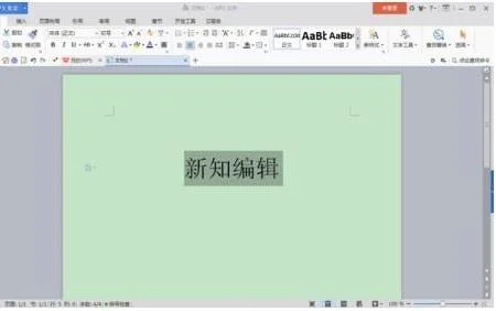 在wps中取消段落 | 在WPS文字中取