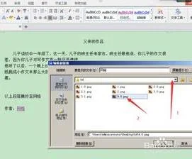 wps打开本地文件 | 打开wp文件