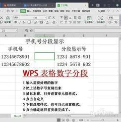 把wps表格的数字分段 | 把WPS表格