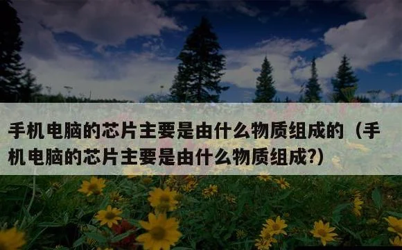 手机电脑的芯片主要是由什么物质组