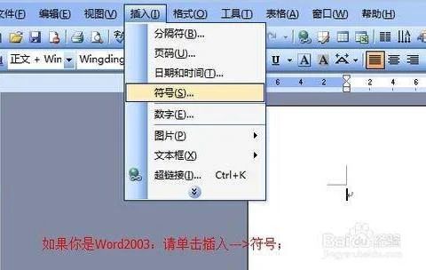 wps中在小方格中打勾 | 手机wps中