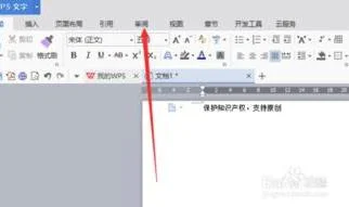 让wps文档内容不被复制 | WPS文档不被复制的方法