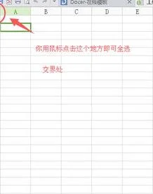 全选wps表格里的文字 | wps文字中
