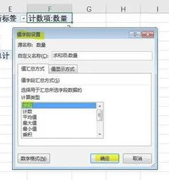 wps对某项数据求和 | wpsword中进