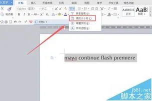 wps英文转换小写字母 | wps快捷转