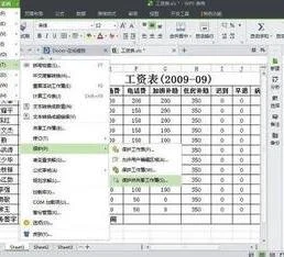 wps表格修订 | 使用wps表格修订功